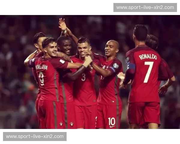 回放葡萄牙队：荣耀与瞬间的再现